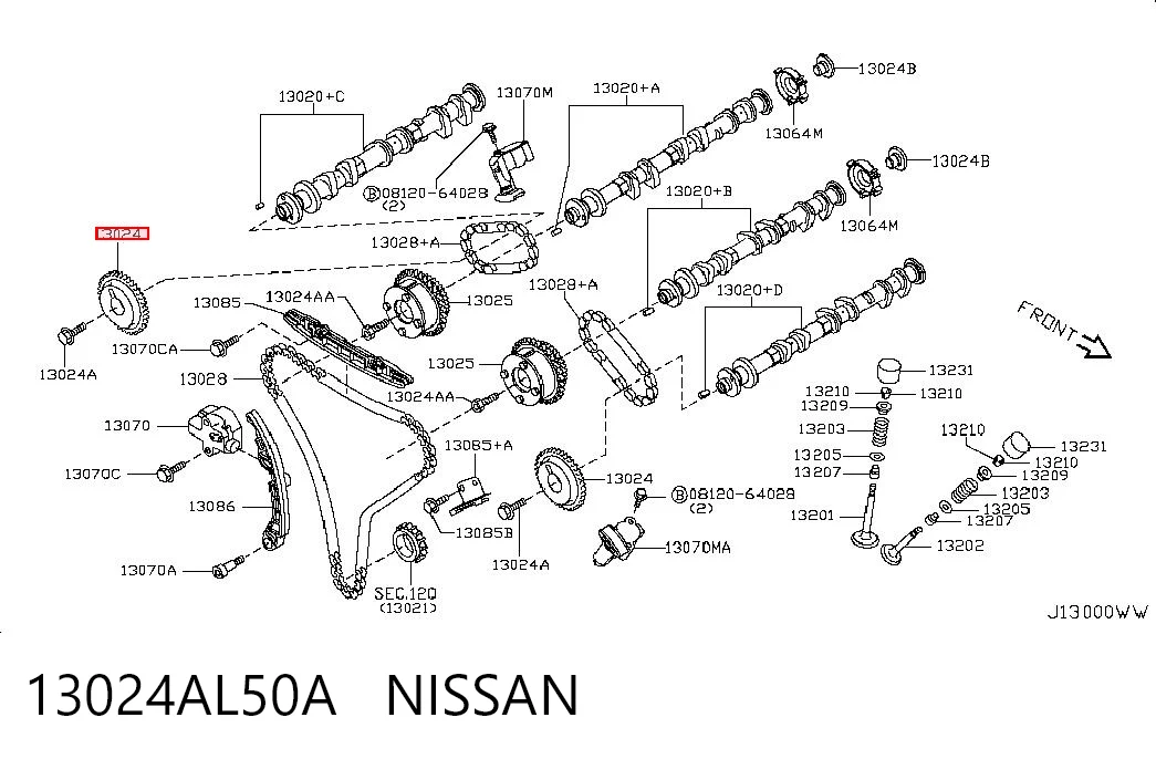 13024AL50A Nissan/Infiniti Koło zębate walcowe wałka rozrządu wydechowego