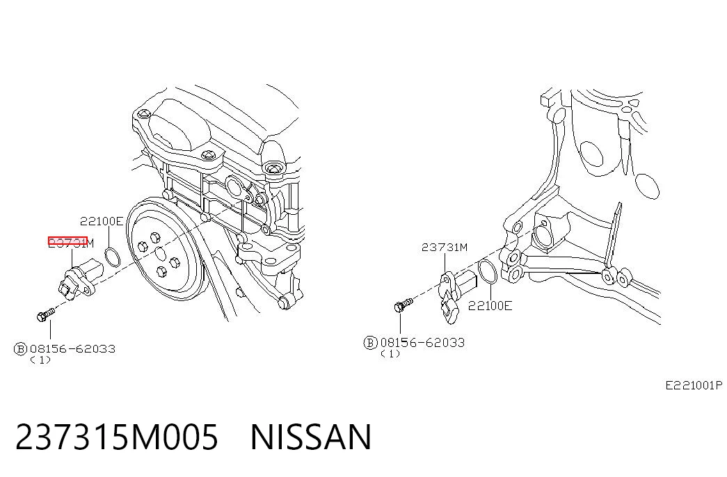 237315M005 Nissan/Infiniti