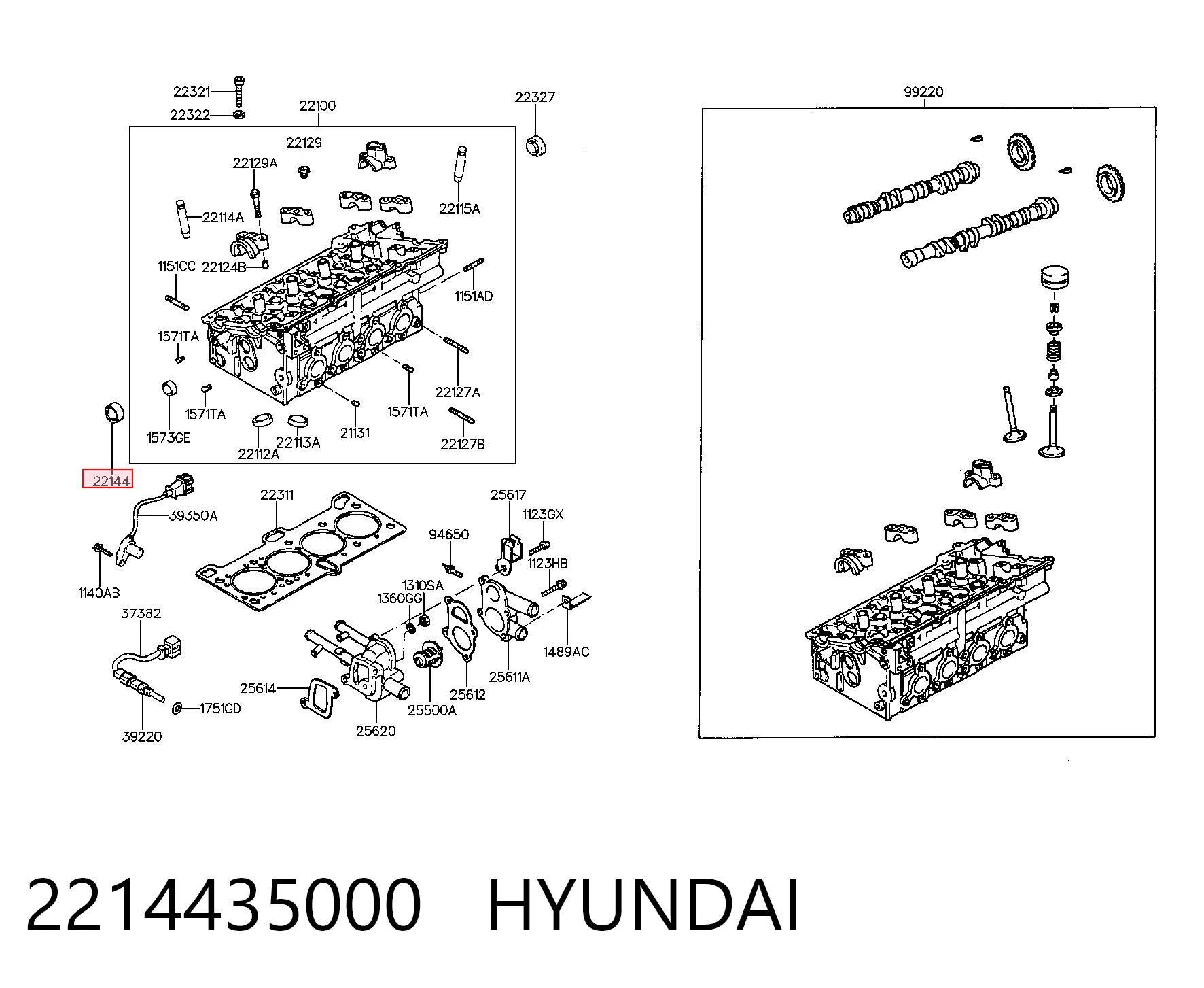 2214435000 Hyundai/Kia Uszczelniacz wałka rozrządu silnika