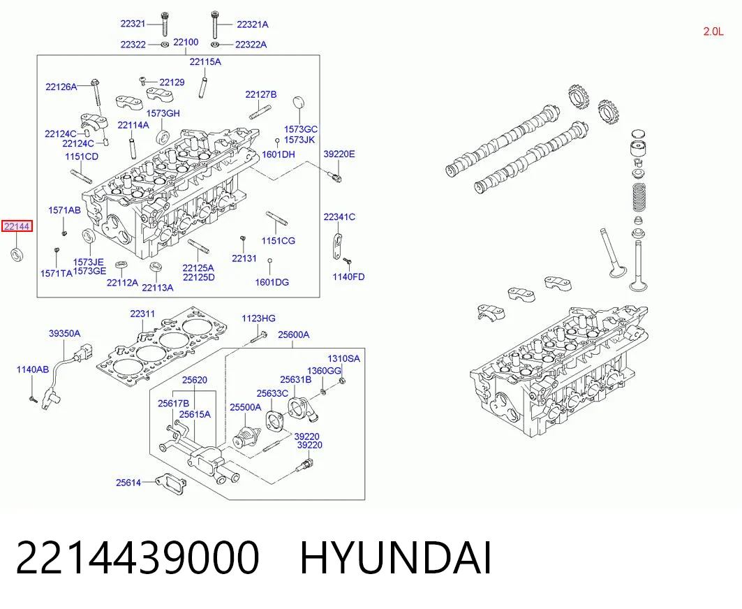2214439000 Hyundai/Kia Uszczelniacz wałka rozrządu silnika