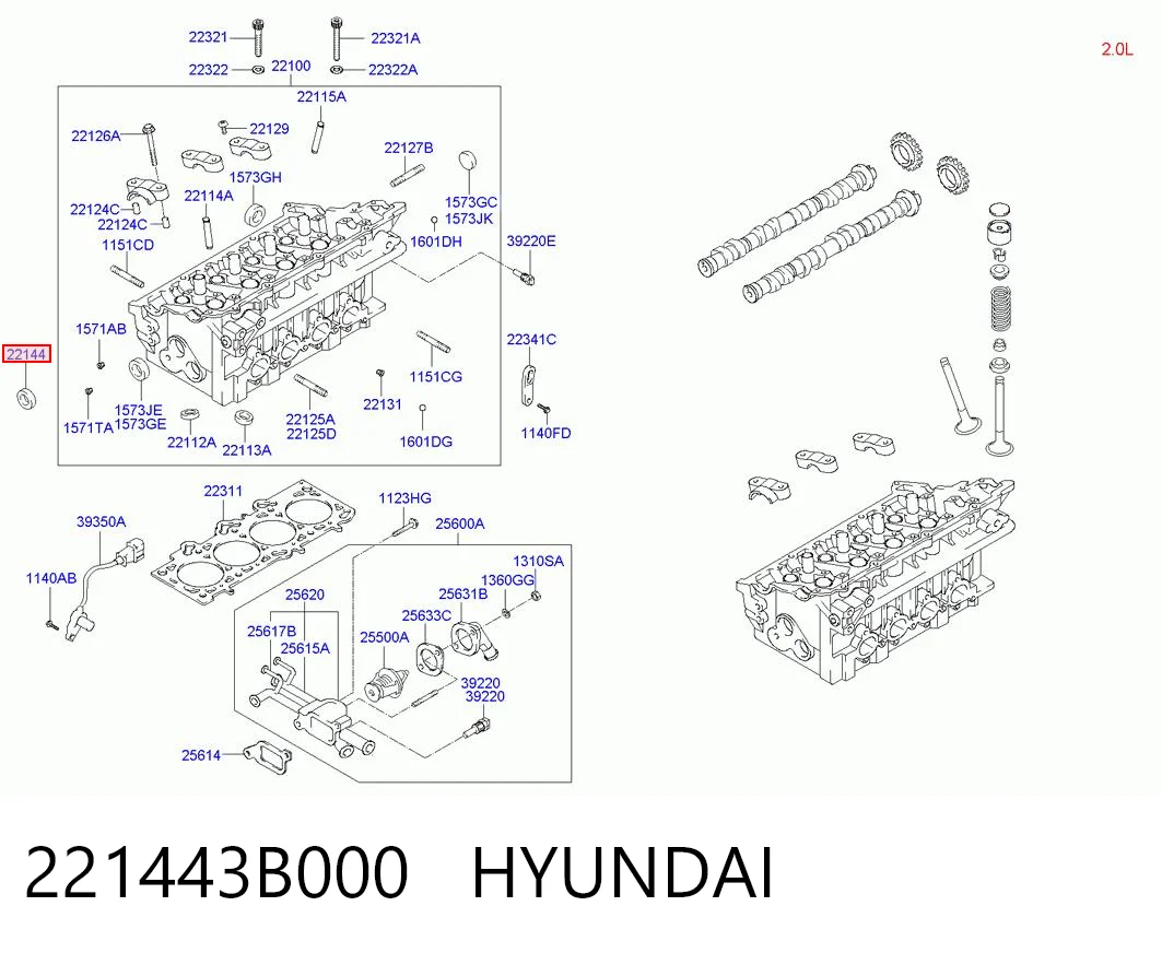 221443B000 Hyundai/Kia Uszczelniacz wałka rozrządu silnika