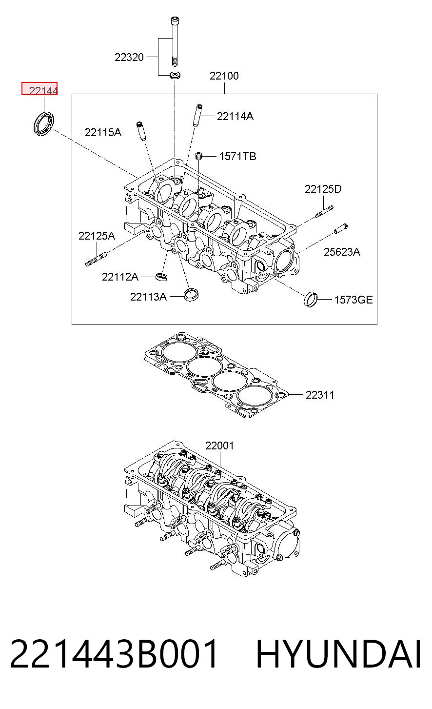 221443B001 Hyundai/Kia Uszczelniacz wałka rozrządu silnika
