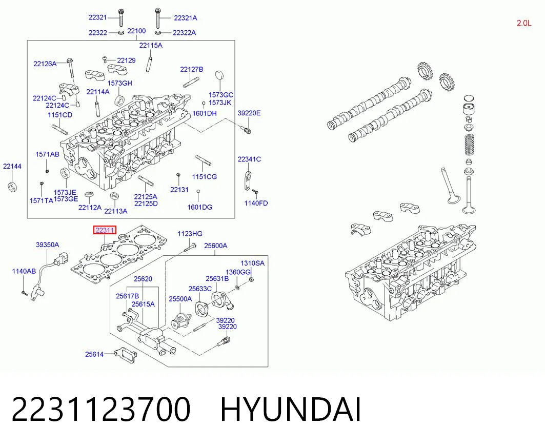 Do koszyka Uszczelka głowicy cylindrów Hyundai Tucson I JM