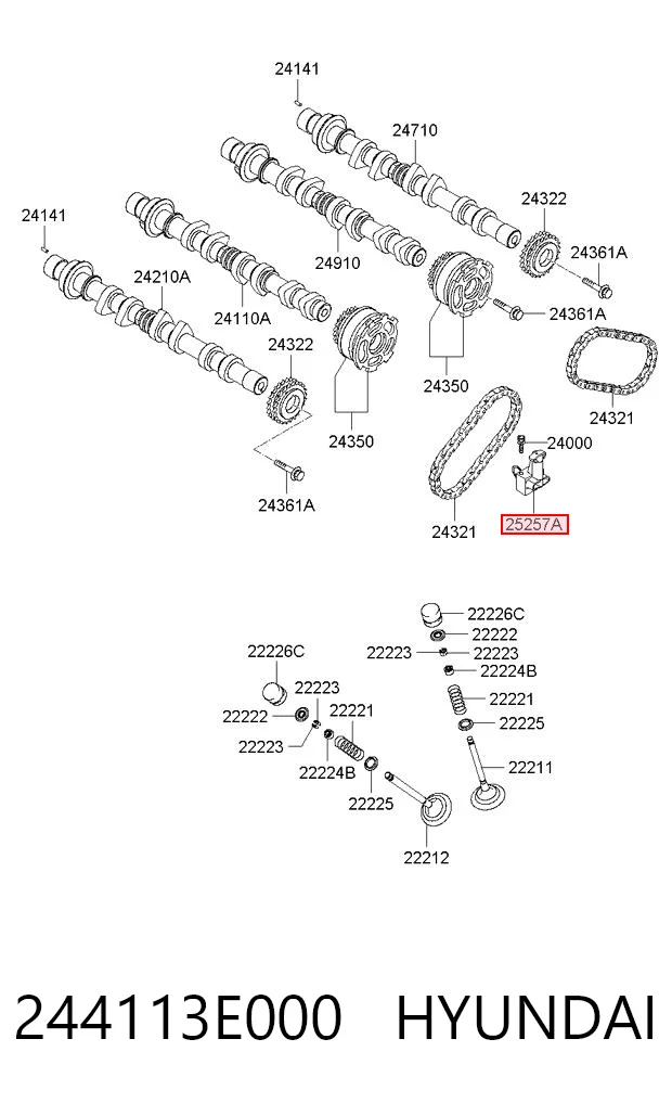 244113E000 Hyundai/Kia Napinacz łańcucha wałków rozrządu