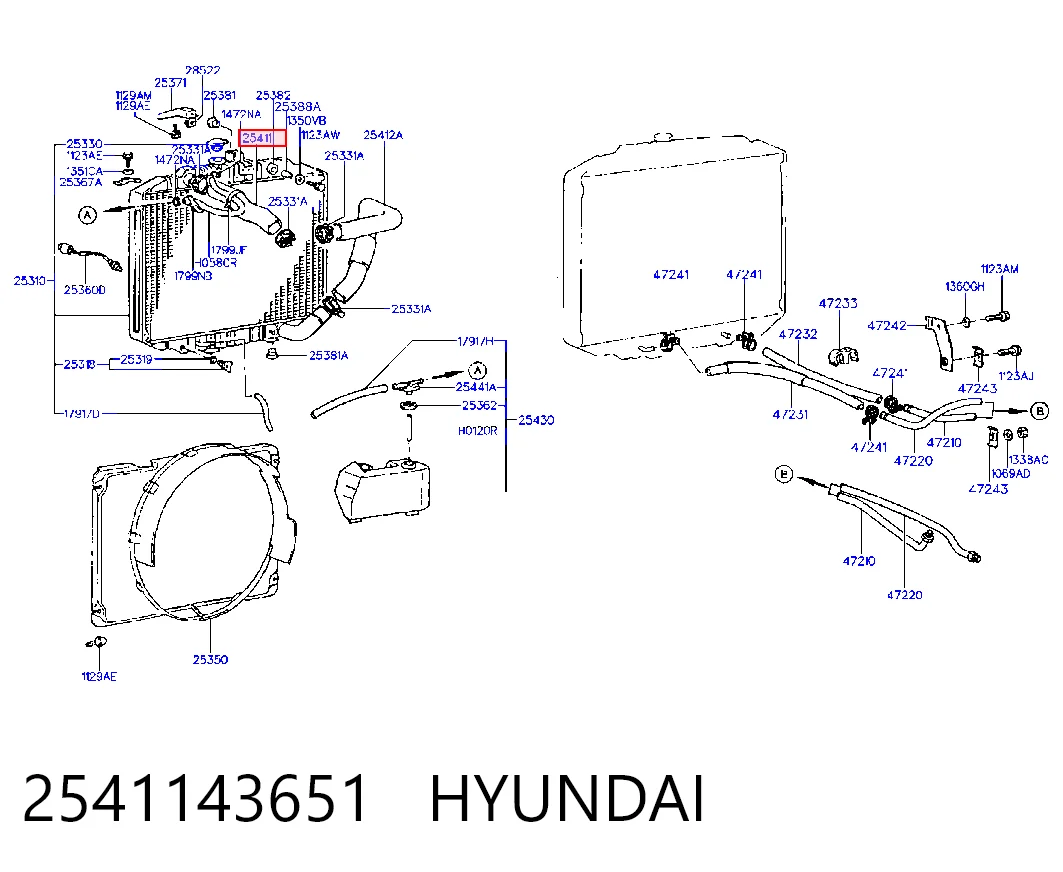 2541143651 Hyundai/Kia
