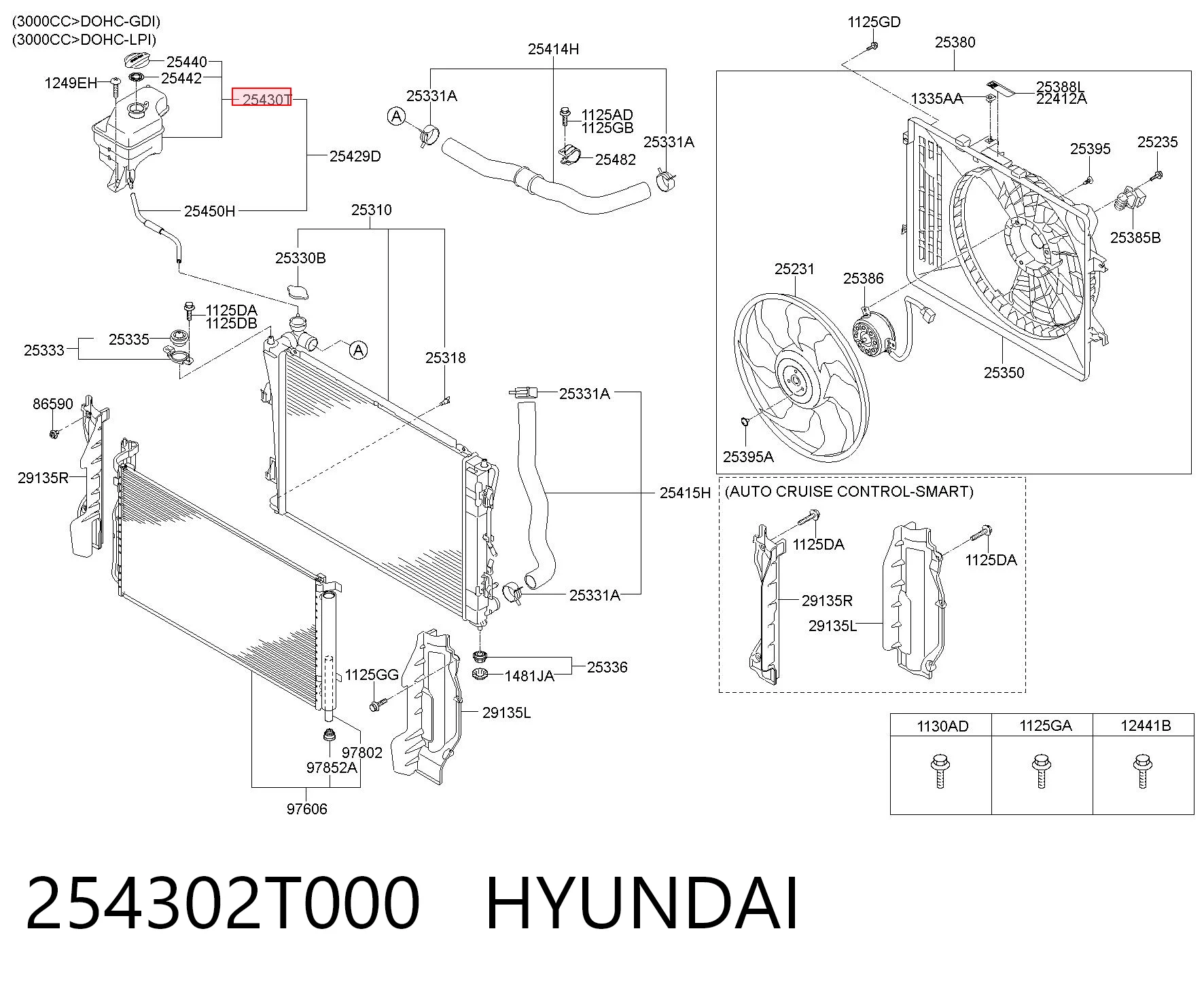 254302T000 Hyundai/Kia Zbiorniczek wyrównawczy układu chłodzenia