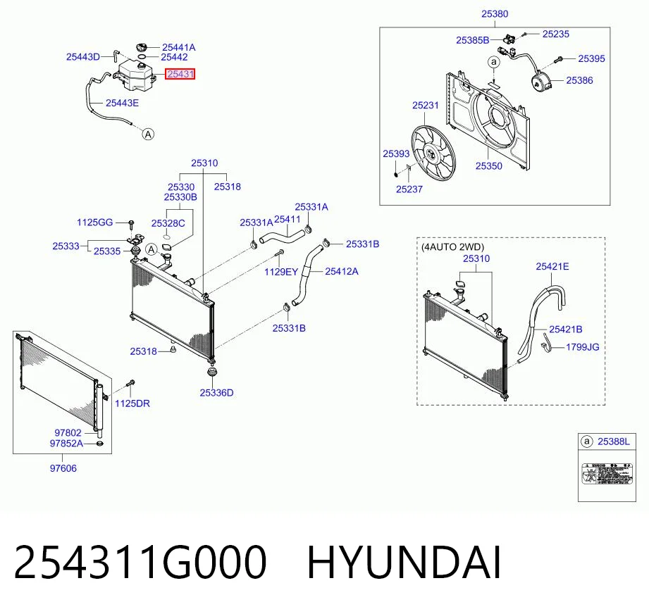 254311G000 Hyundai/Kia Zbiorniczek wyrównawczy układu chłodzenia