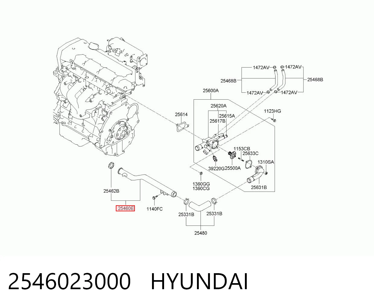 2546023000 Hyundai/Kia Przewód (króciec) pompy wodnej odbiorczy