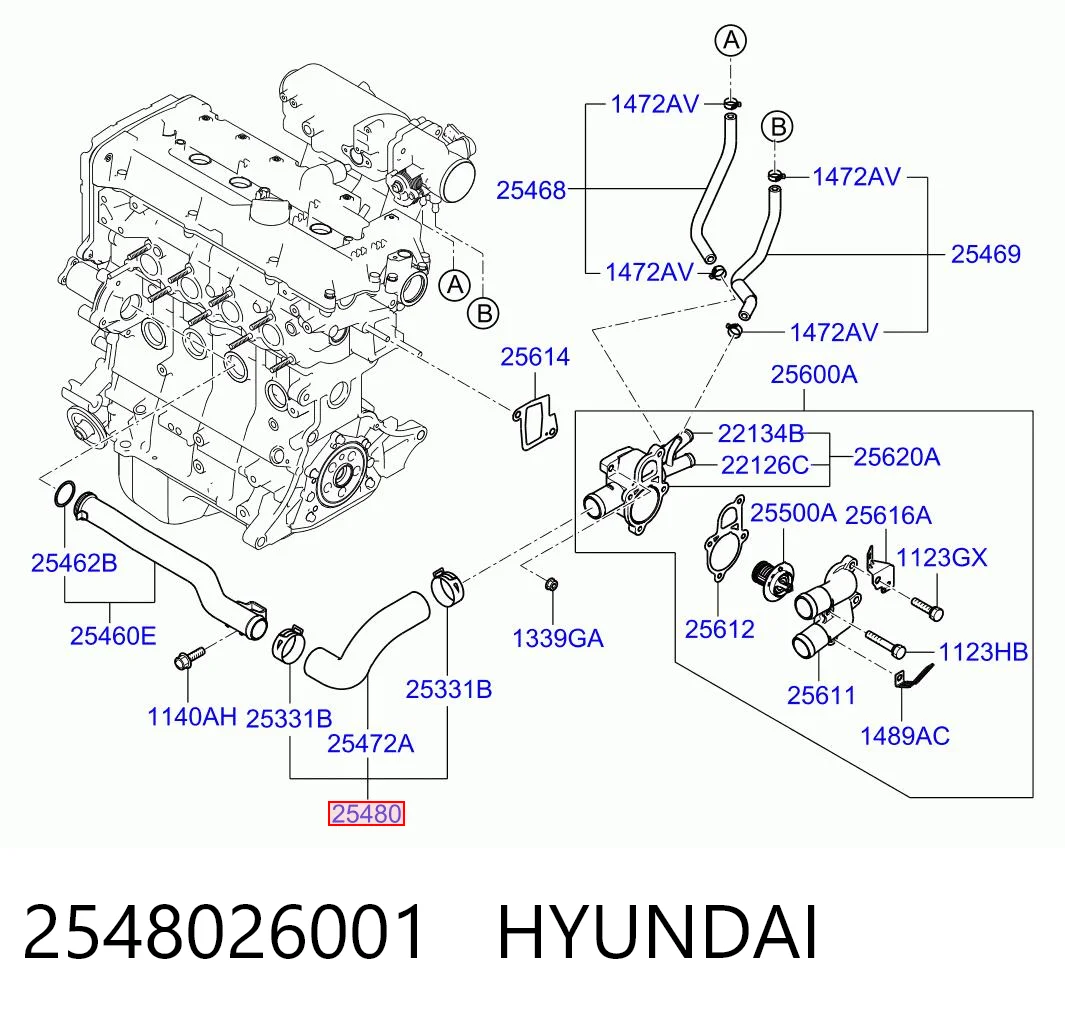 2548026001 Hyundai/Kia