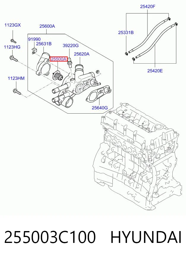 255003C100 Hyundai/Kia