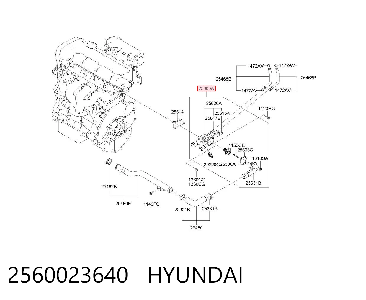 2560023640 Hyundai/Kia Obudowa termostatu