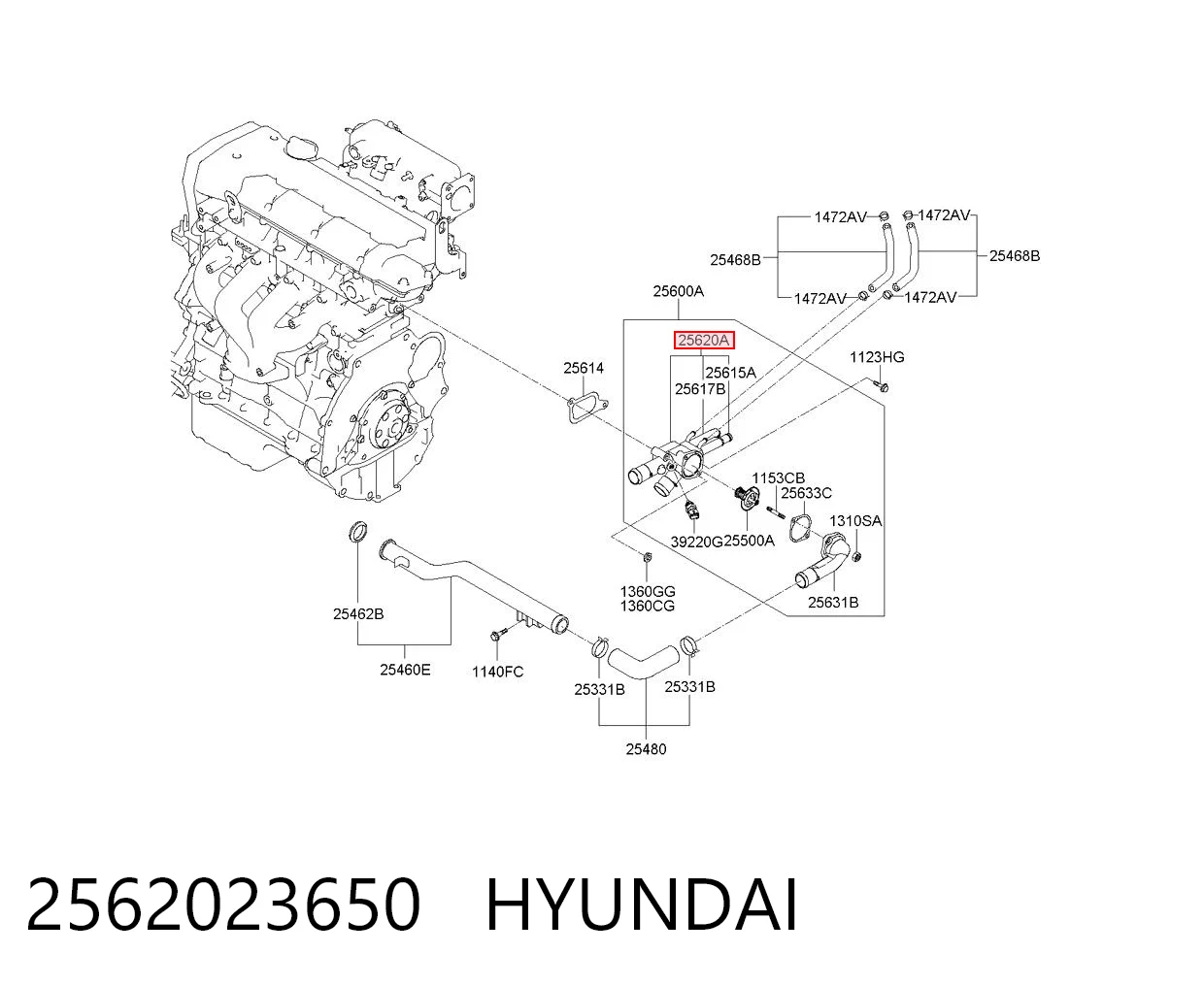 2562023650 Hyundai/Kia Obudowa termostatu