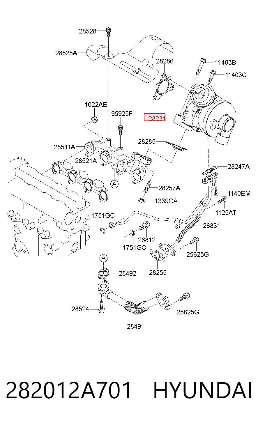282012A701 Hyundai/Kia Turbina