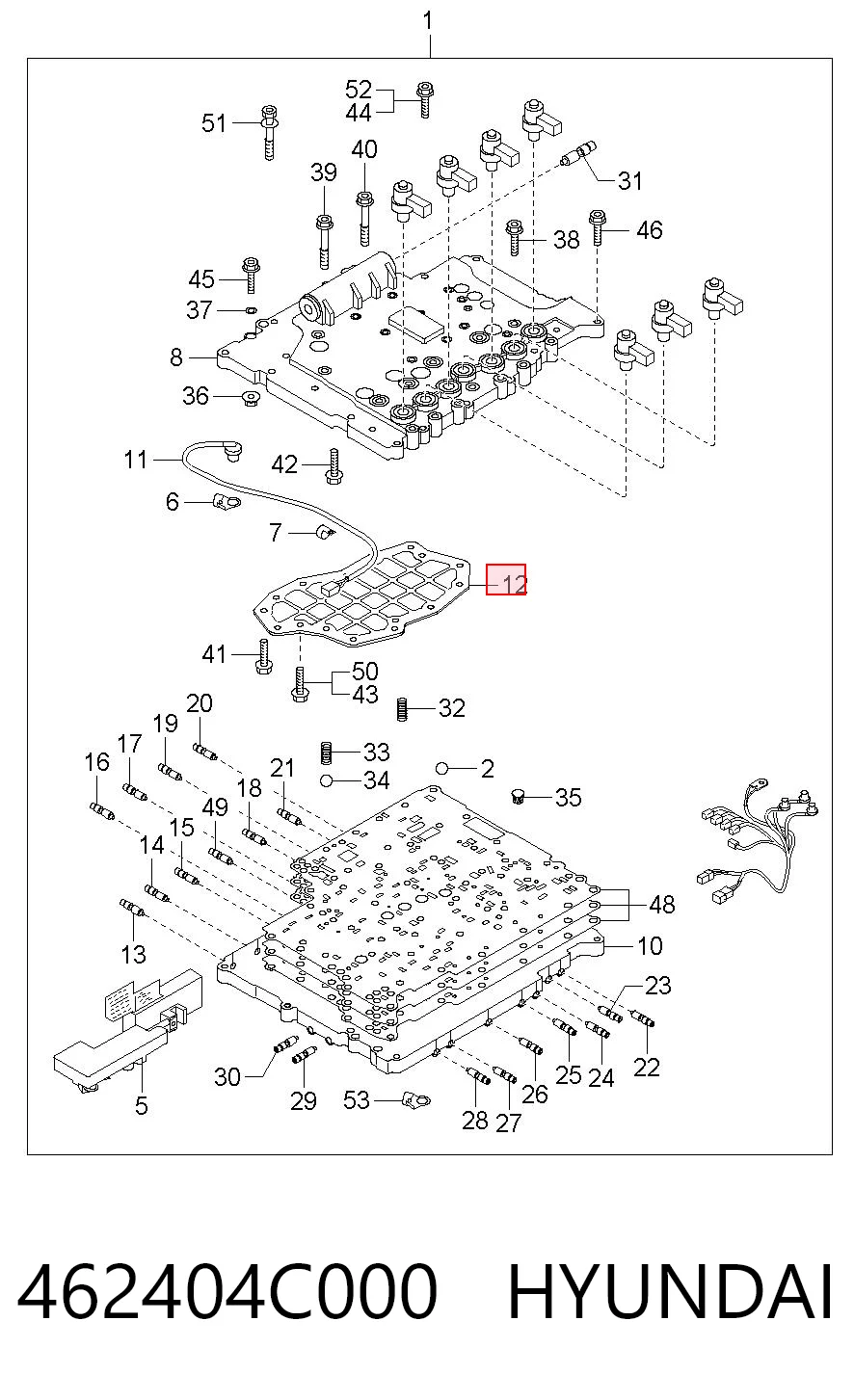 462404C000 Hyundai/Kia