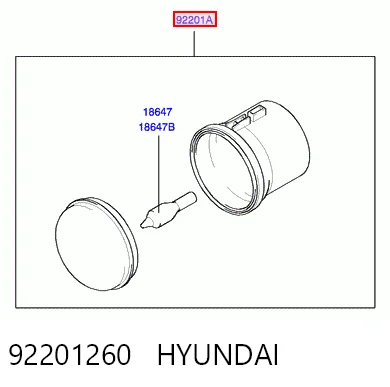 Lampa przeciwmgielna lewa/prawa Hyundai Santa Fe I SUV (SM) (2000 - 2006) cena, od 45,67 USD