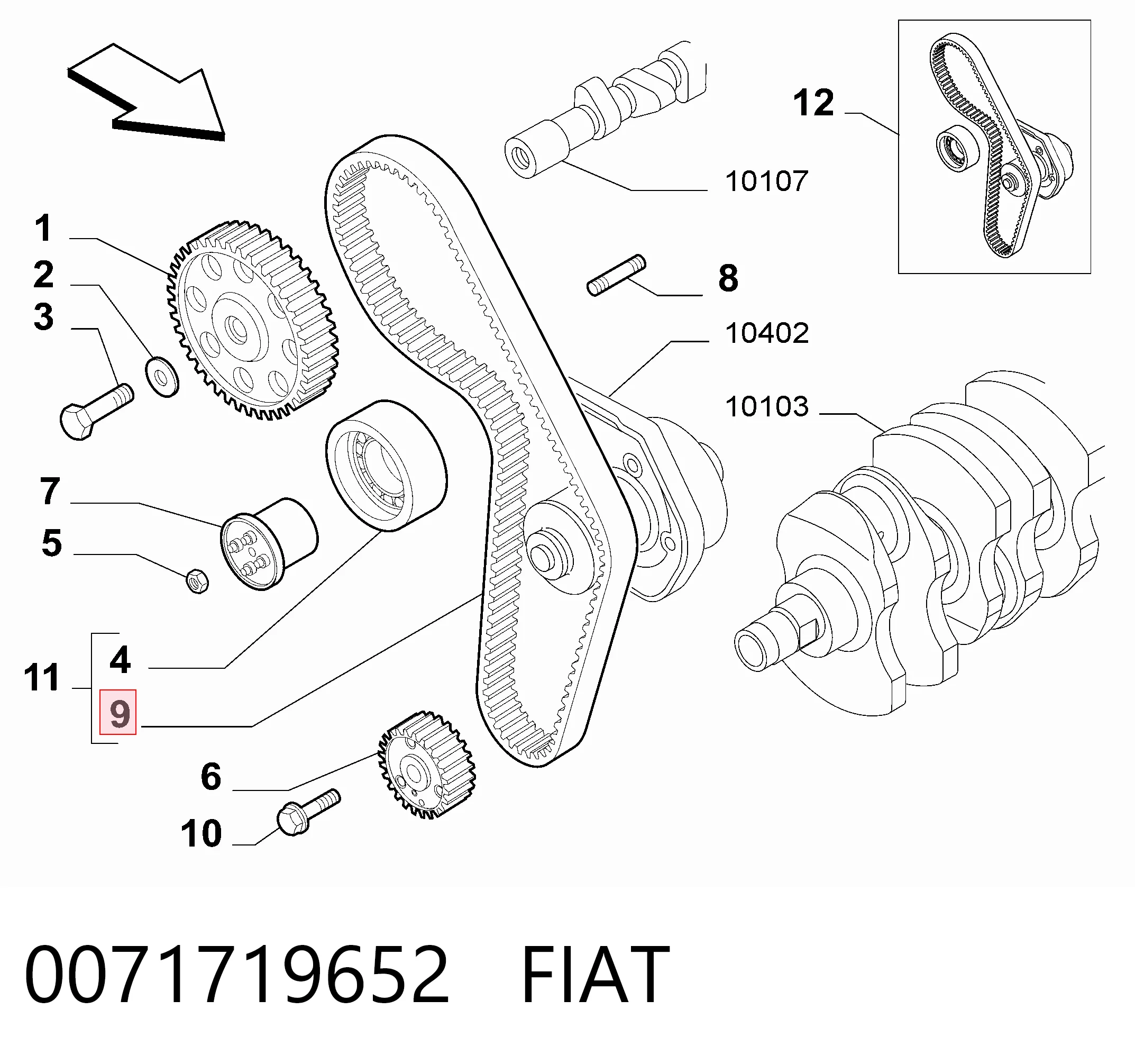 Pasek rozrządu Fiat Brava 