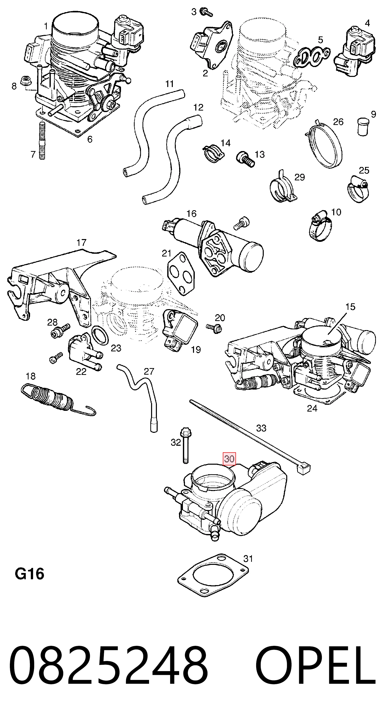 0825248 Opel Przepustnica, komplet