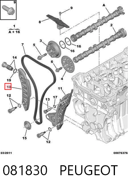 081830 Peugeot/Citroen Prowadnica napinacza łańcucha rozrządu