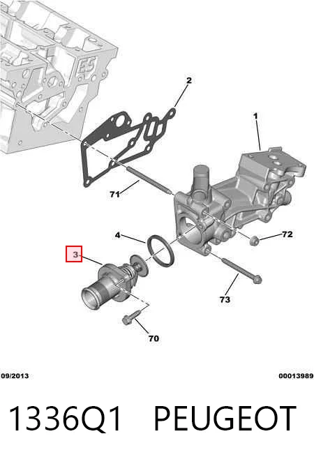 1336Q1 Peugeot/Citroen Termostat