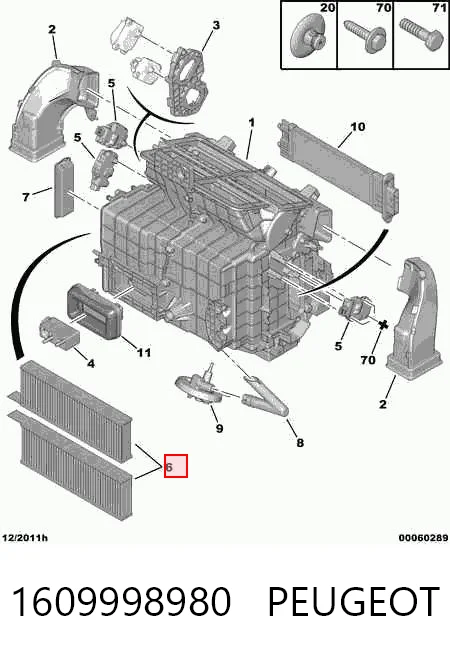 1609998980 Peugeot/Citroen