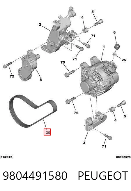 9804491580 Peugeot/Citroen
