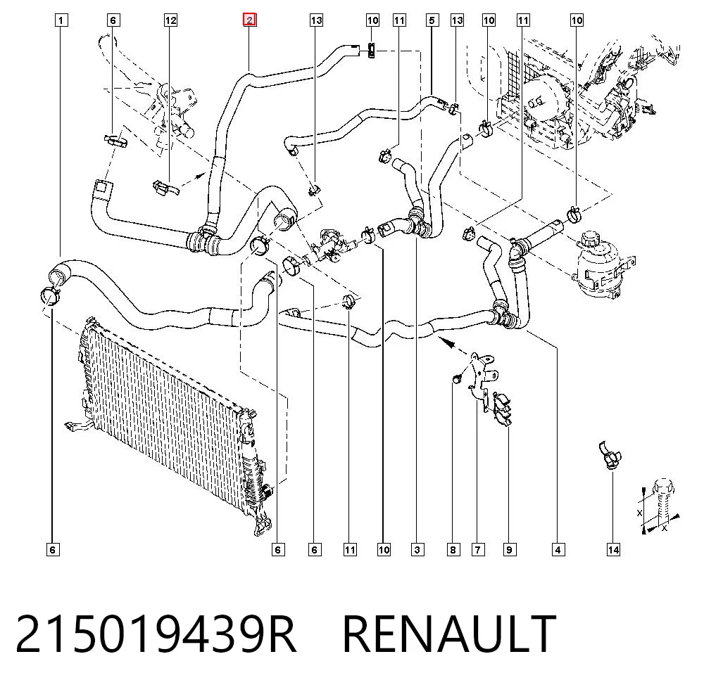 215019439R Renault (RVI)