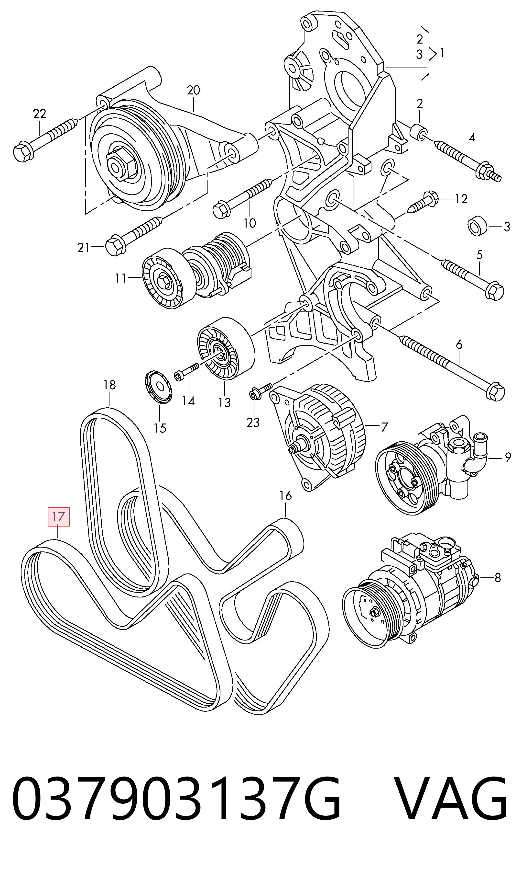 037903137G VAG Pas napędowy mechanizmów