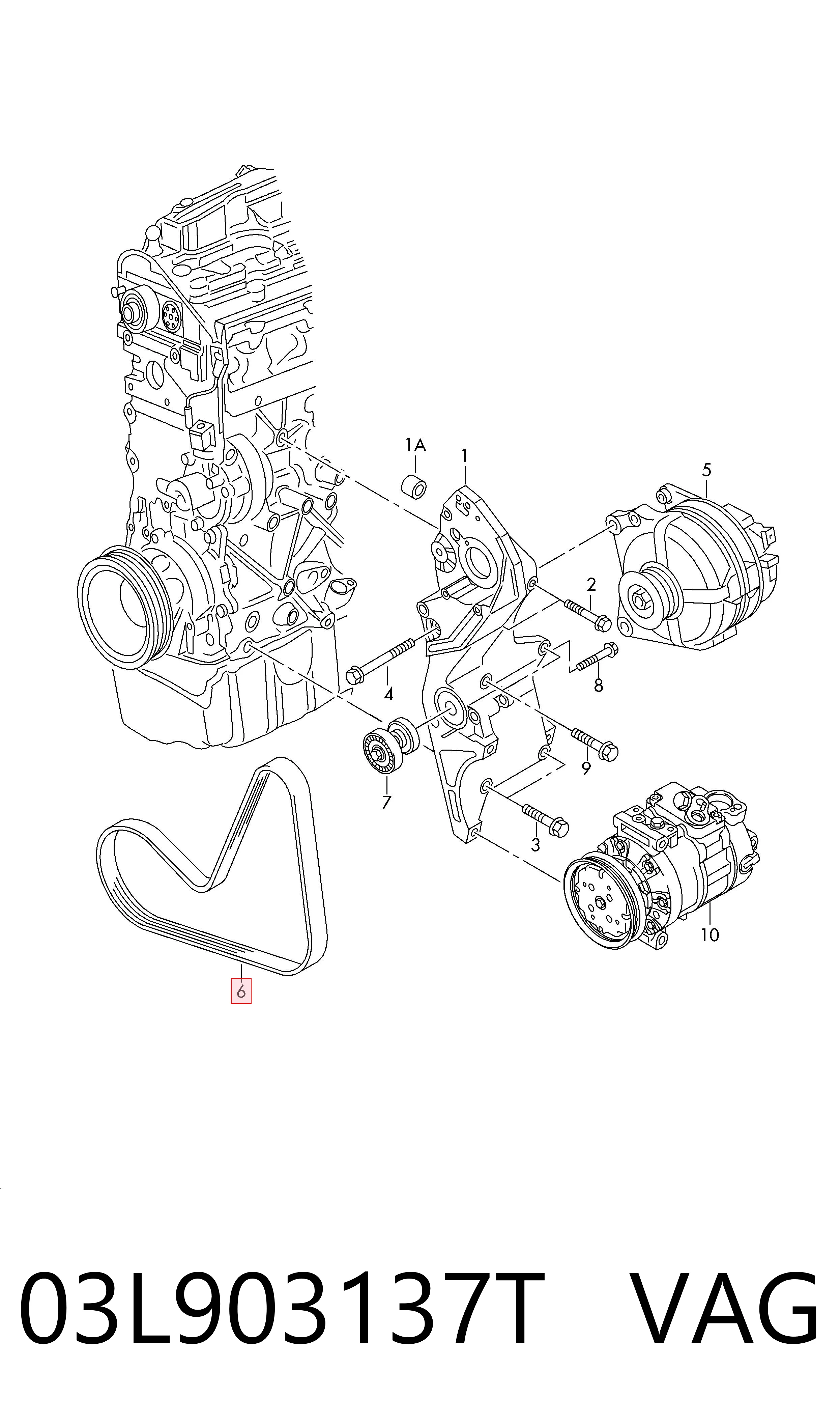 03L903137T VAG Pas napędowy mechanizmów