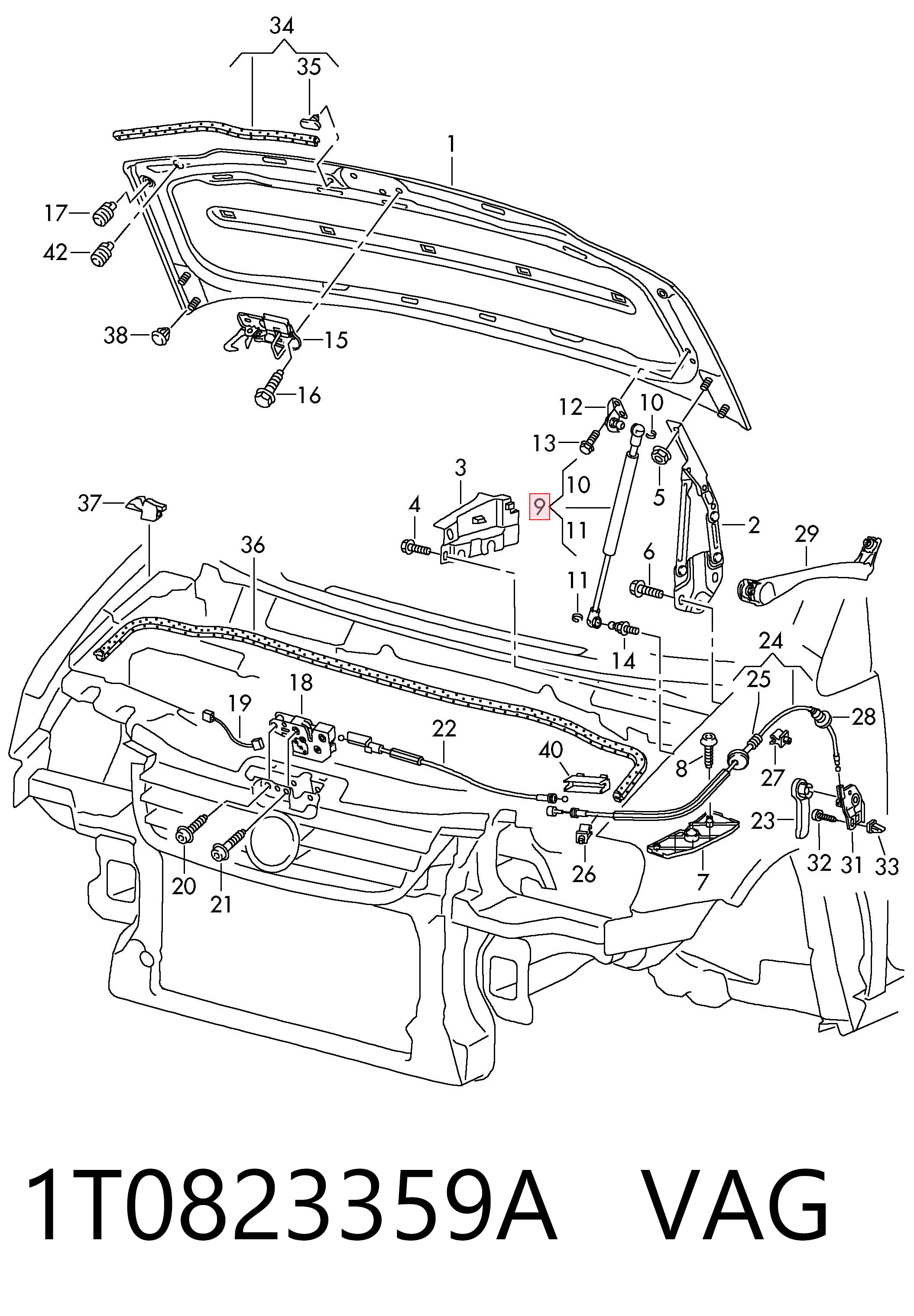 Do koszyka Amortyzator maski Volkswagen Caddy III 2KB, 2KJ, 2CB, 2CJ
