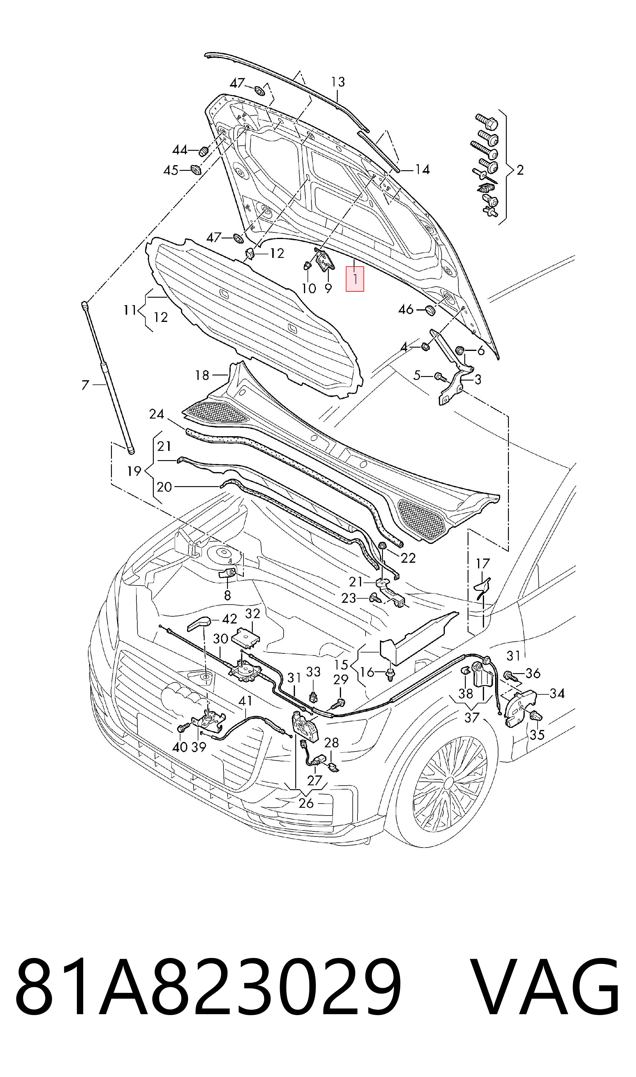 81A823029 VAG