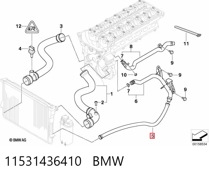 11531436410 BMW Przewód (króciec) chłodnicy dolny