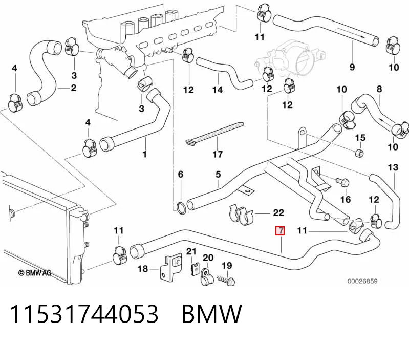 11531744053 BMW Przewód (króciec) chłodnicy dolny