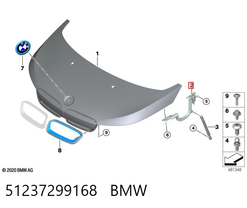 51237299168 BMW